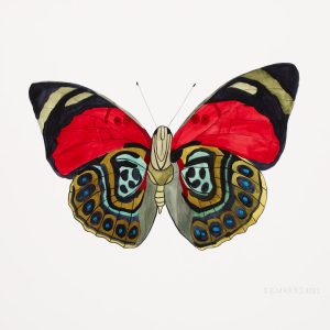 Pellentesque dolor nunc